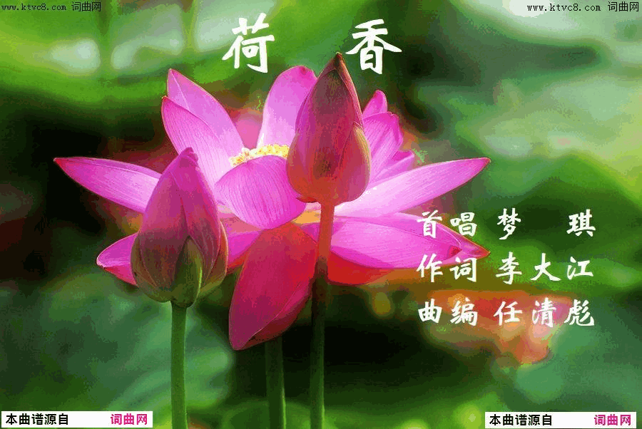 荷香任清彪曲简谱_梦琪演唱_李大江/任清彪词曲