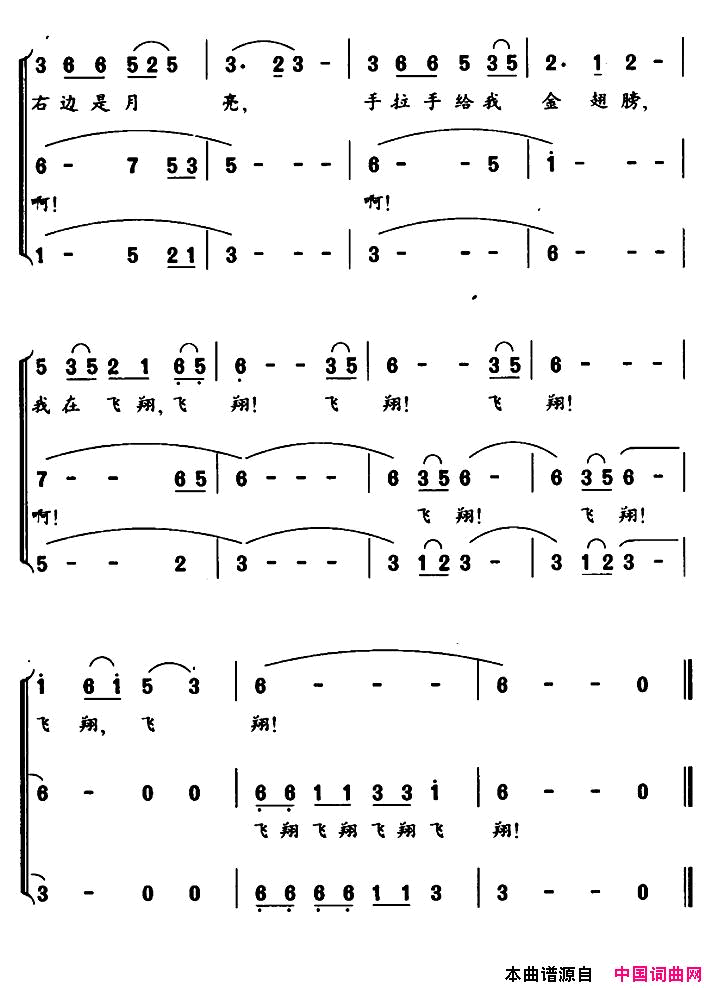 轮椅的翅膀简谱