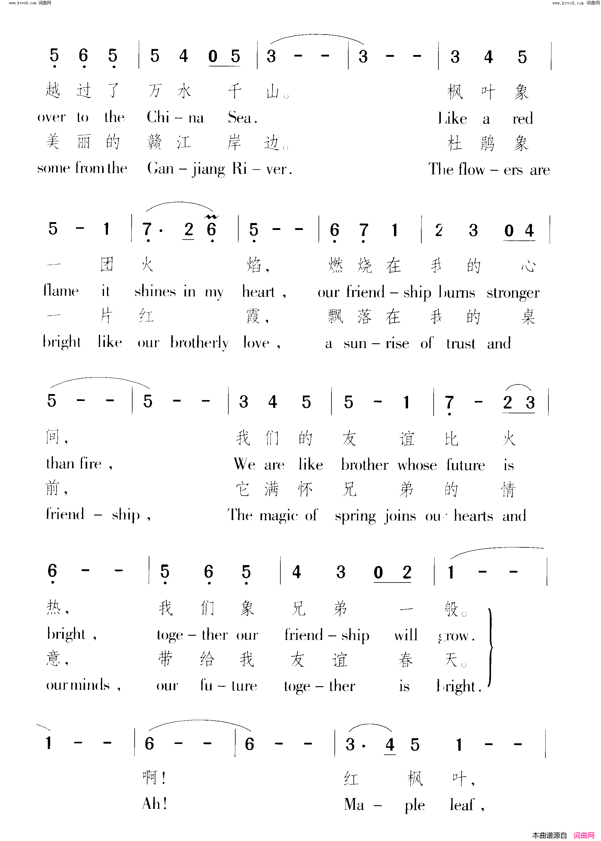 红枫叶,红杜鹃简谱