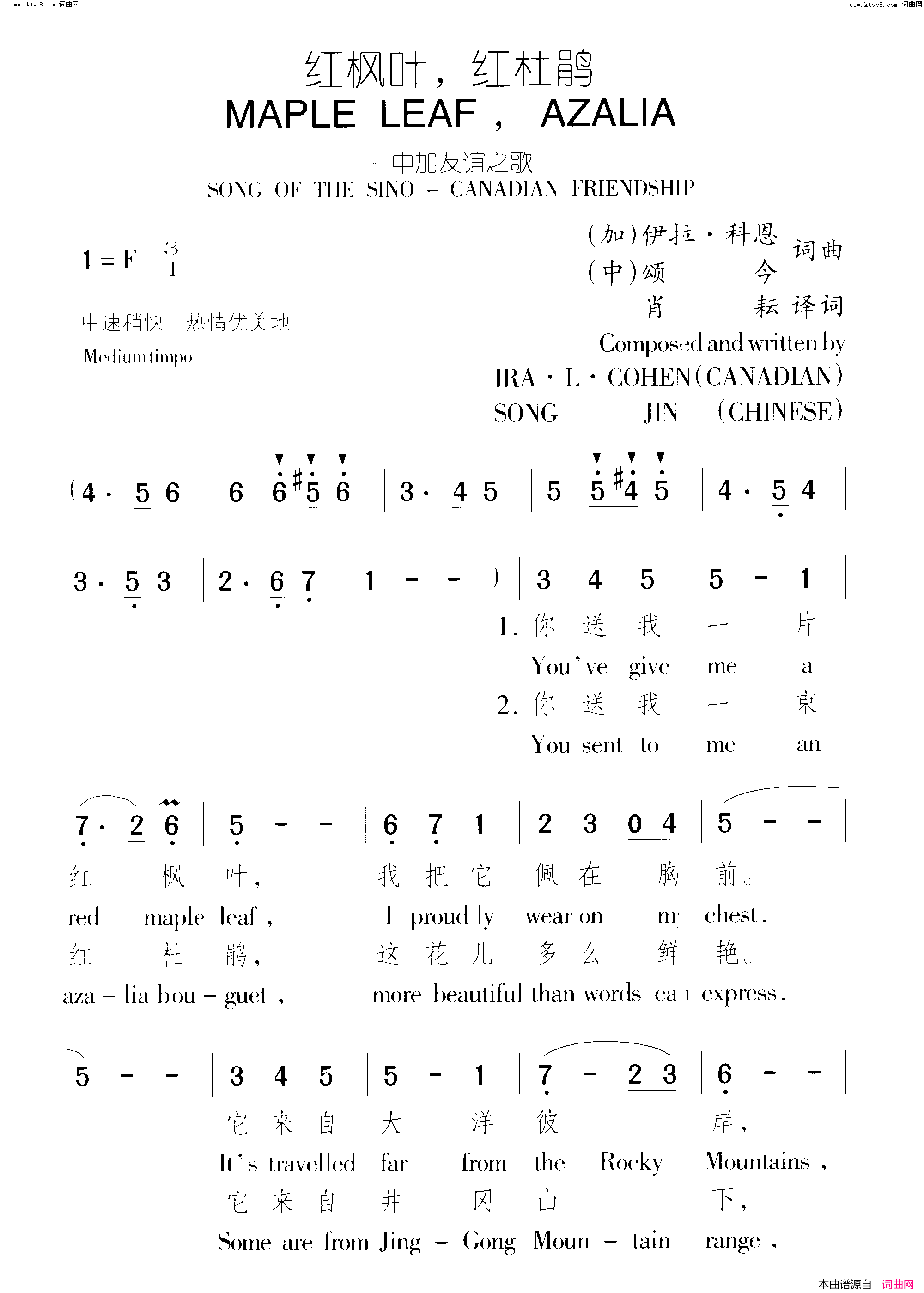 红枫叶,红杜鹃简谱