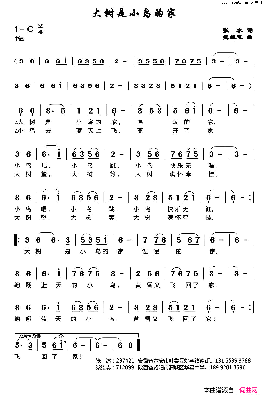 大树是小鸟的家简谱