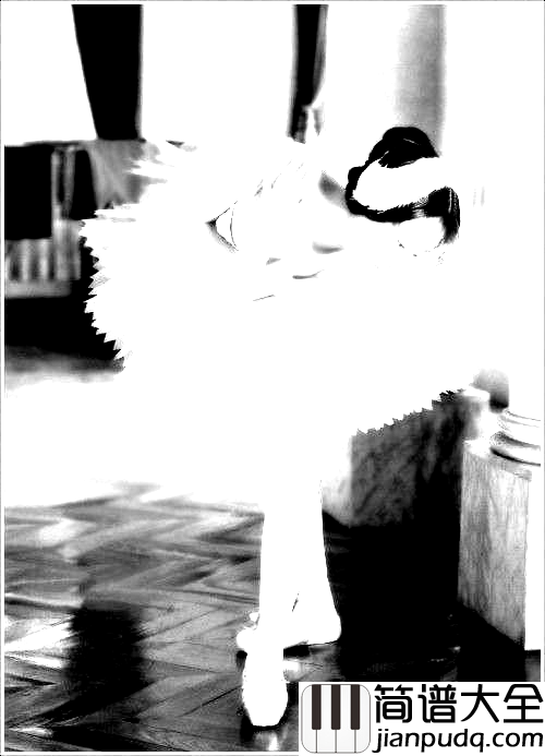 你可不可以爱爱我简谱