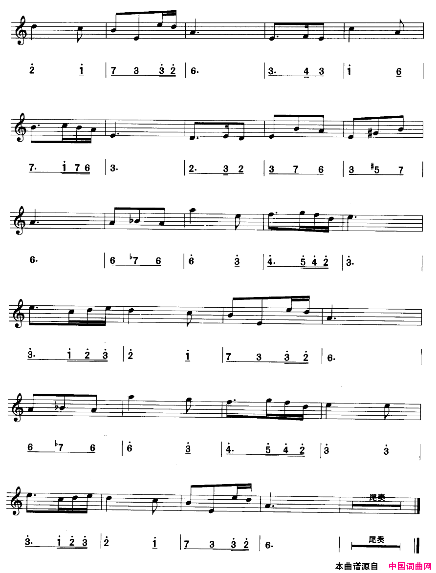 白桦林简线合谱简谱