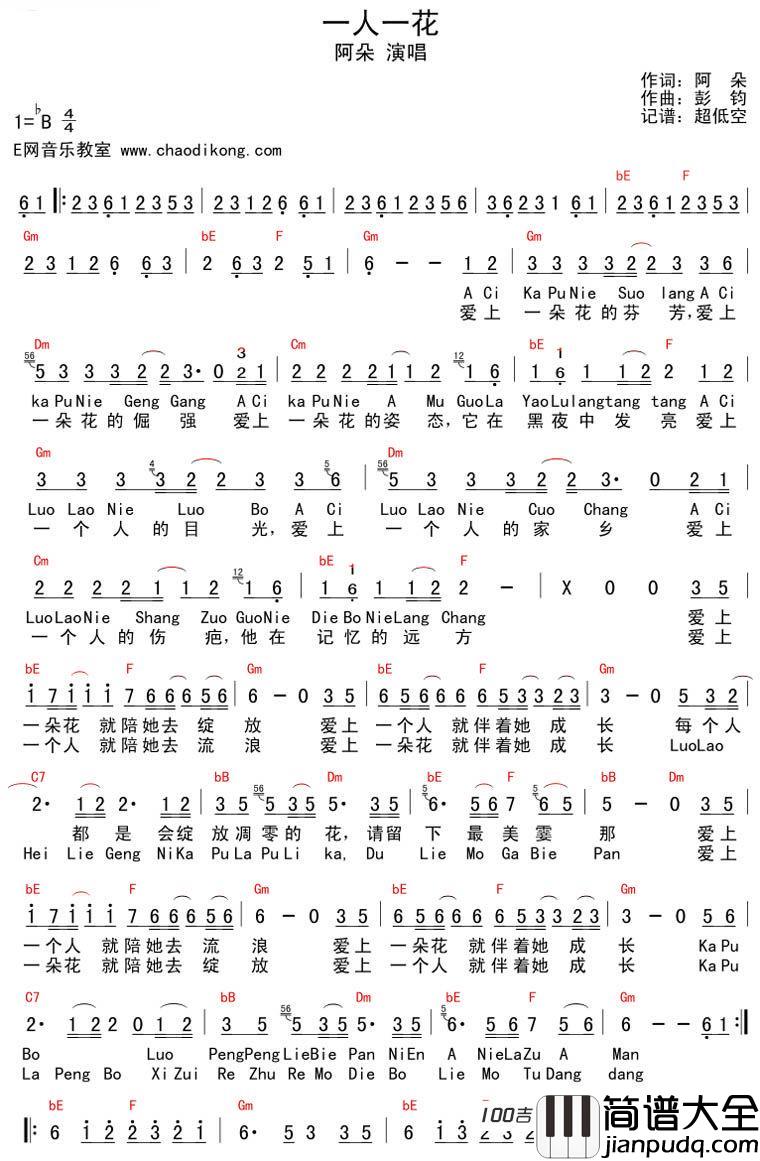 一人一花吉他谱（和弦版）_阿朵_弹唱图片谱