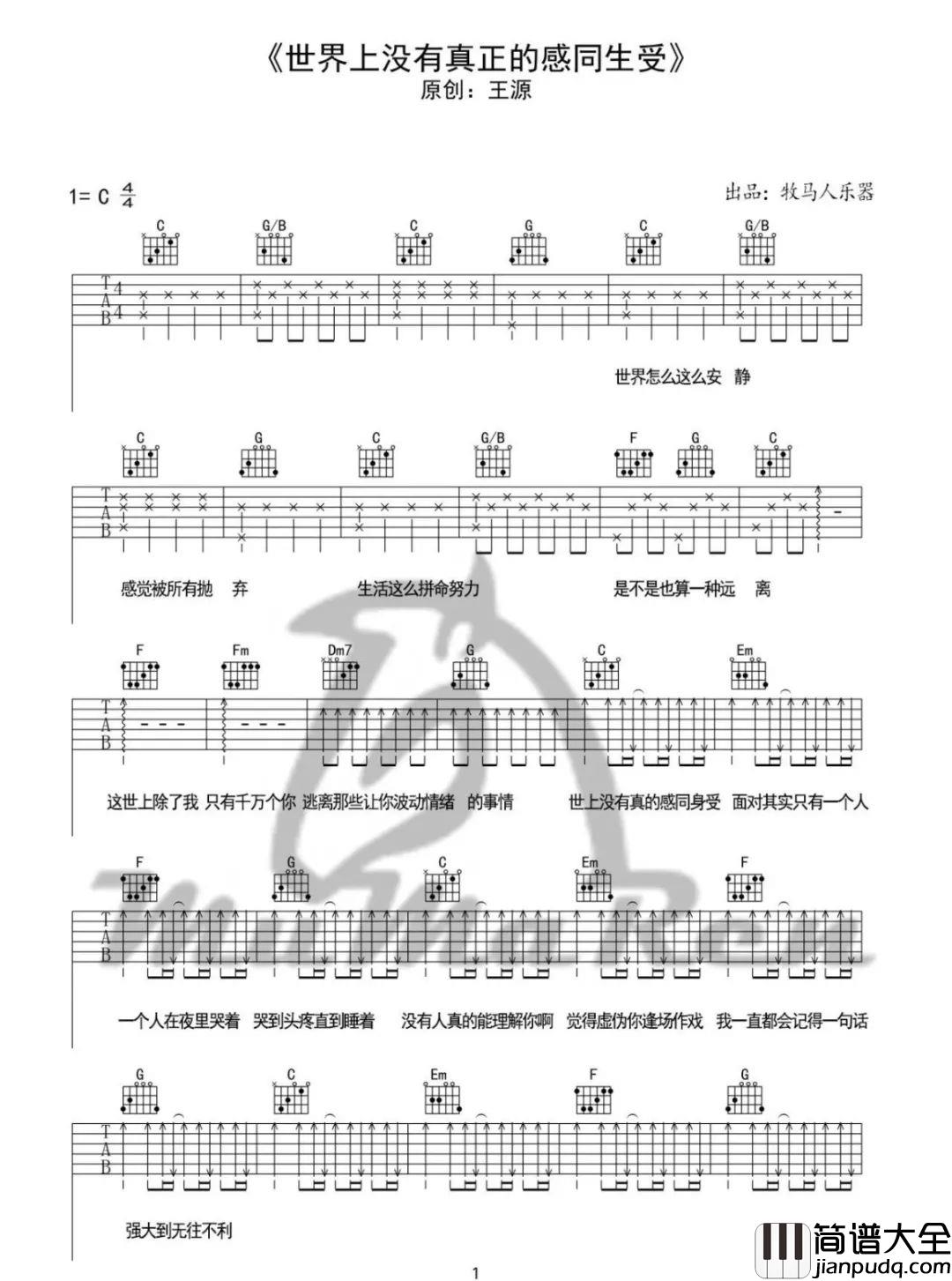 _世界上没有真正的感同身受_C_调吉他谱_王源