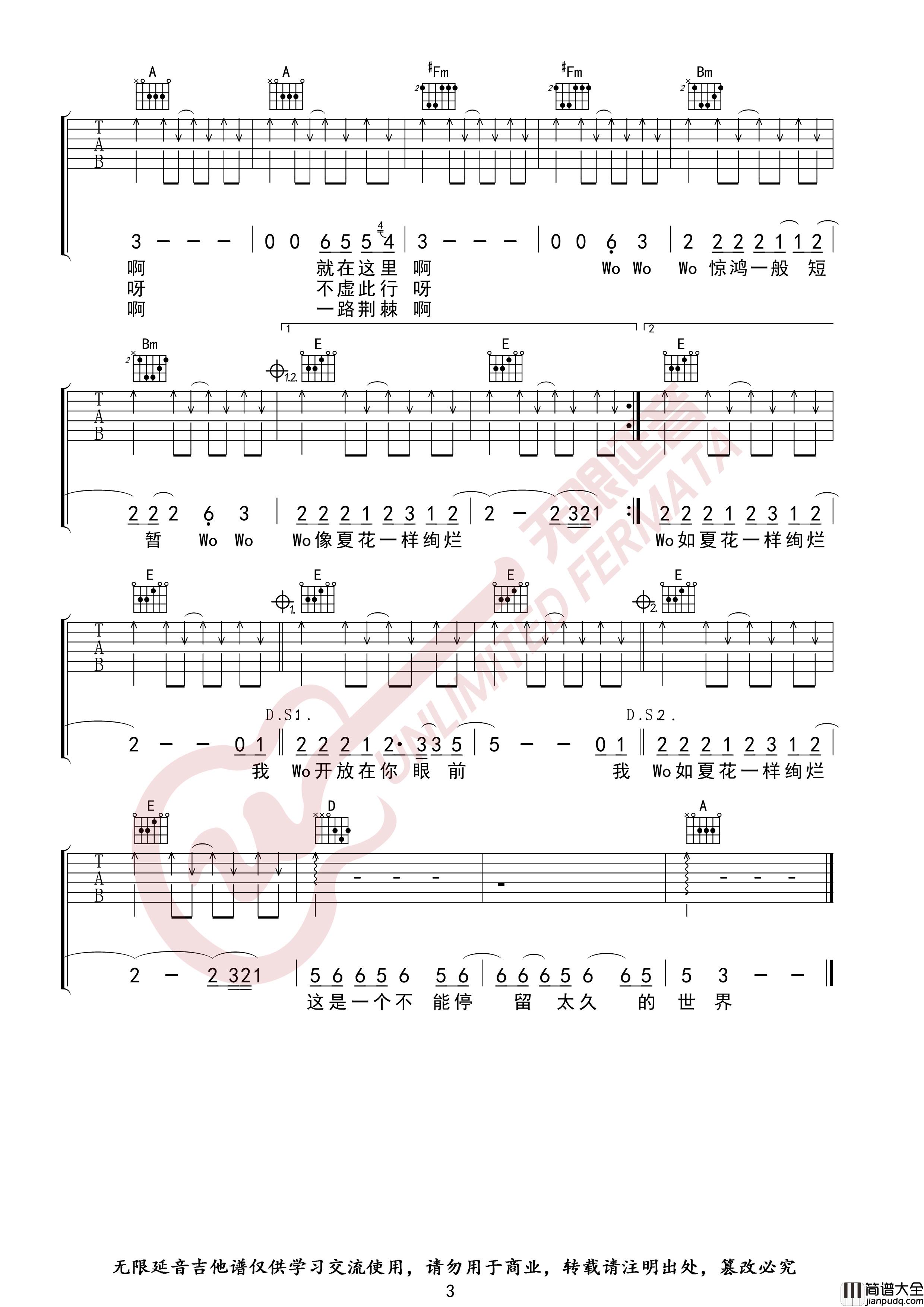 生如夏花吉他谱_朴树_无限延音编配