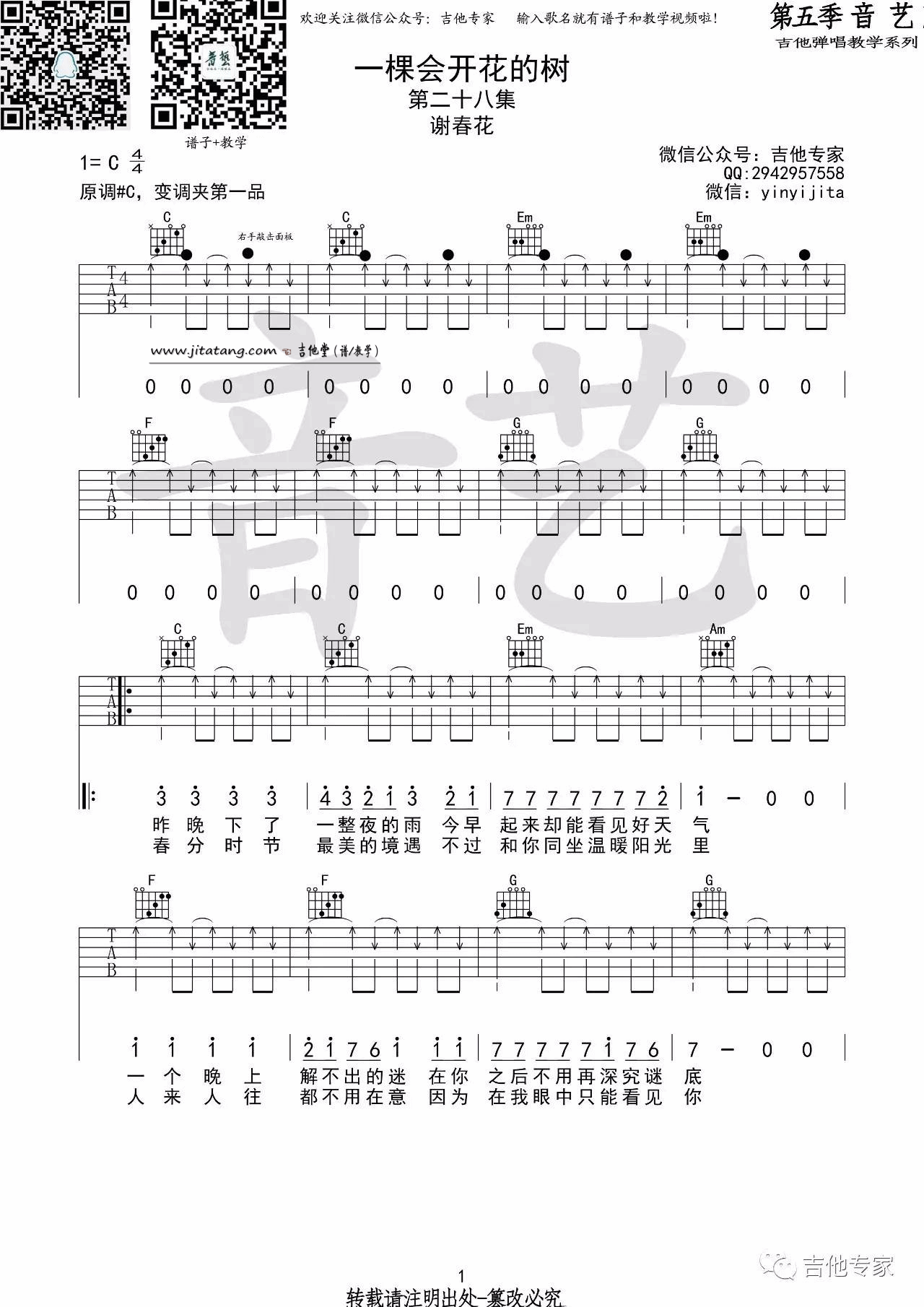 一棵会开花的树吉他谱_C调_音艺吉他编配_谢春花