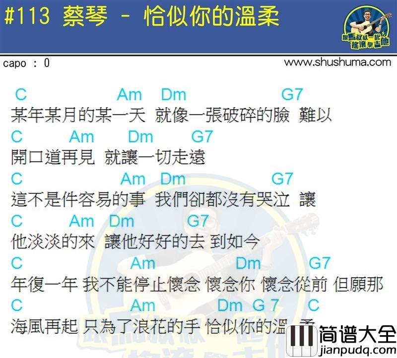 蔡琴_恰似你的温柔_吉他谱_Guitar_Music_Score