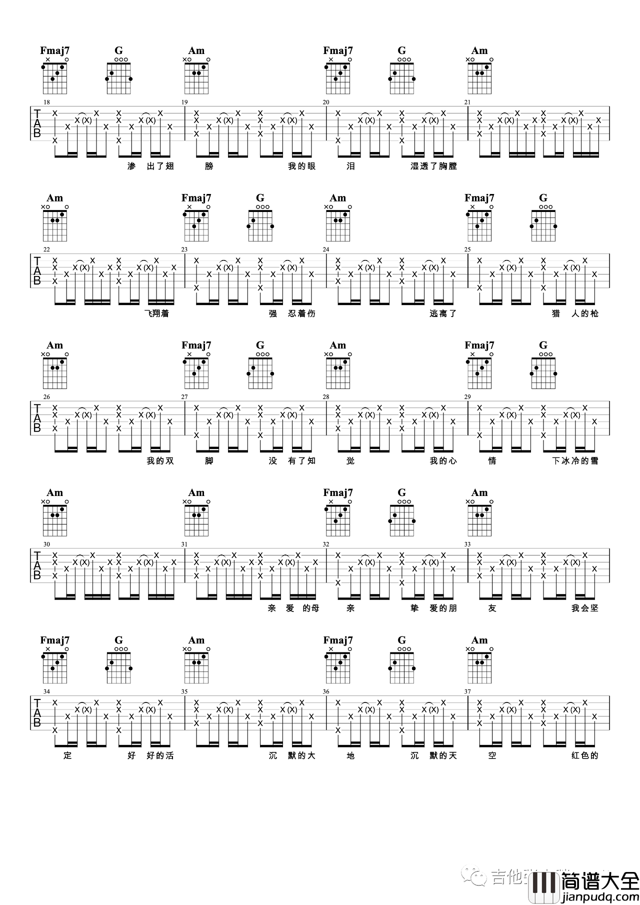 白鸽吉他谱_伍佰_白鸽C调吉他弹唱谱