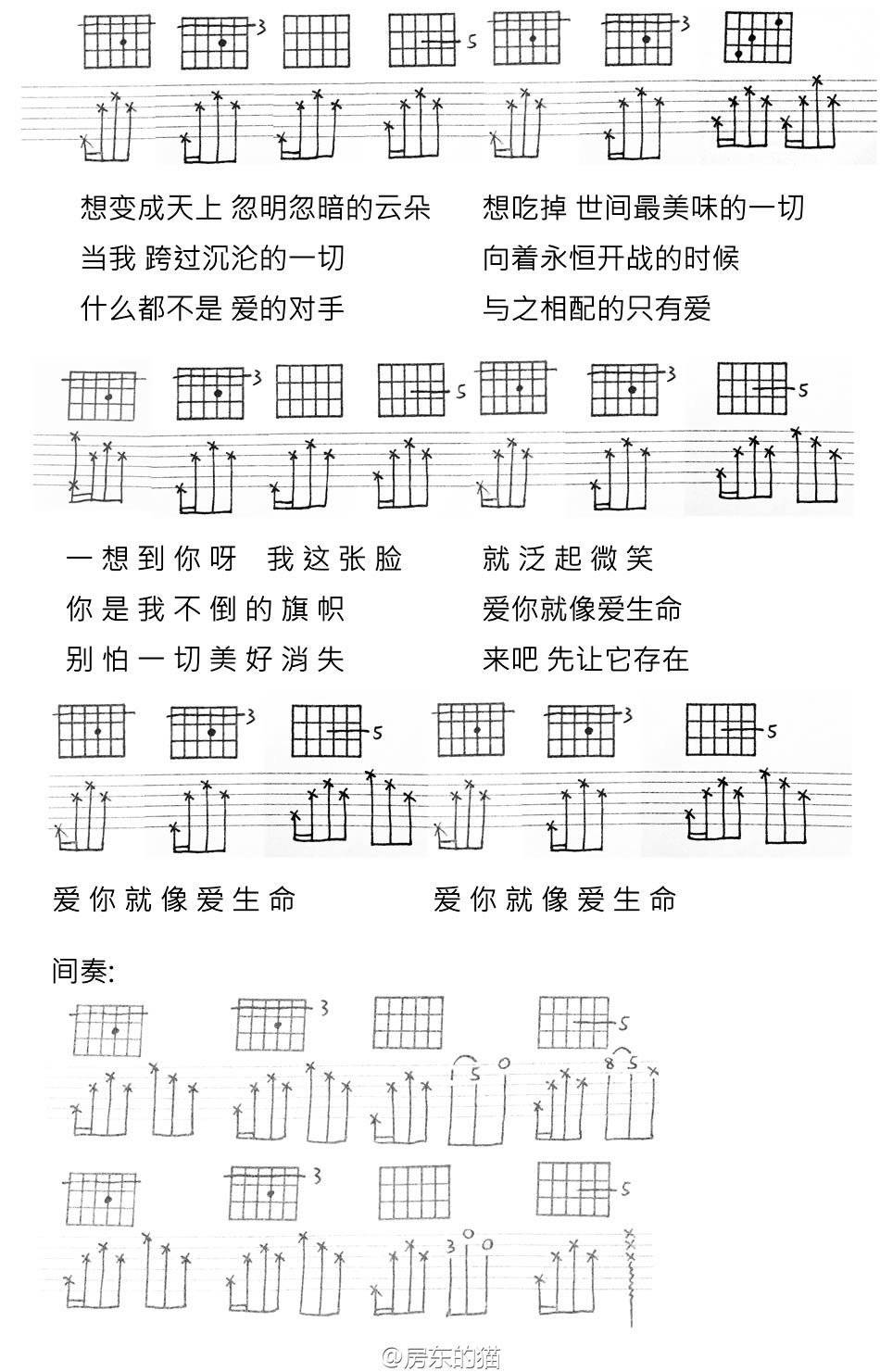 房东的猫 爱你就像爱生命吉他谱