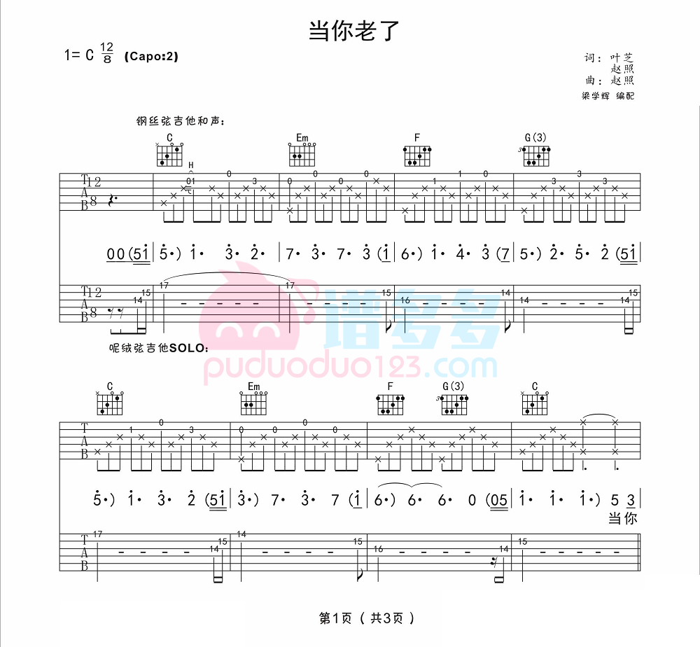 赵照 当你老了吉他谱C调 弹唱六线谱