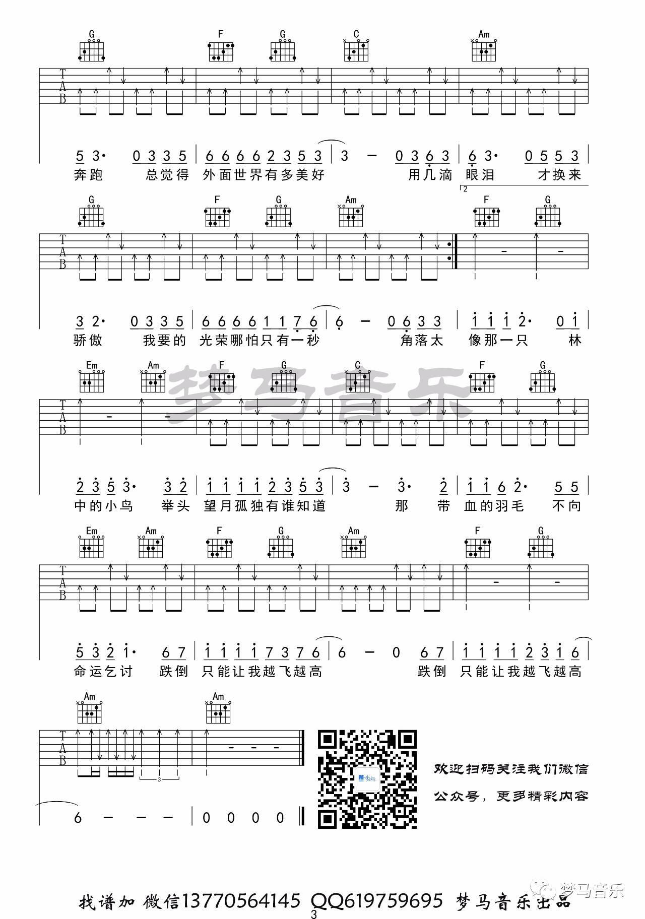 葛林 林中鸟吉他谱C调 梦马音乐弹唱六线谱