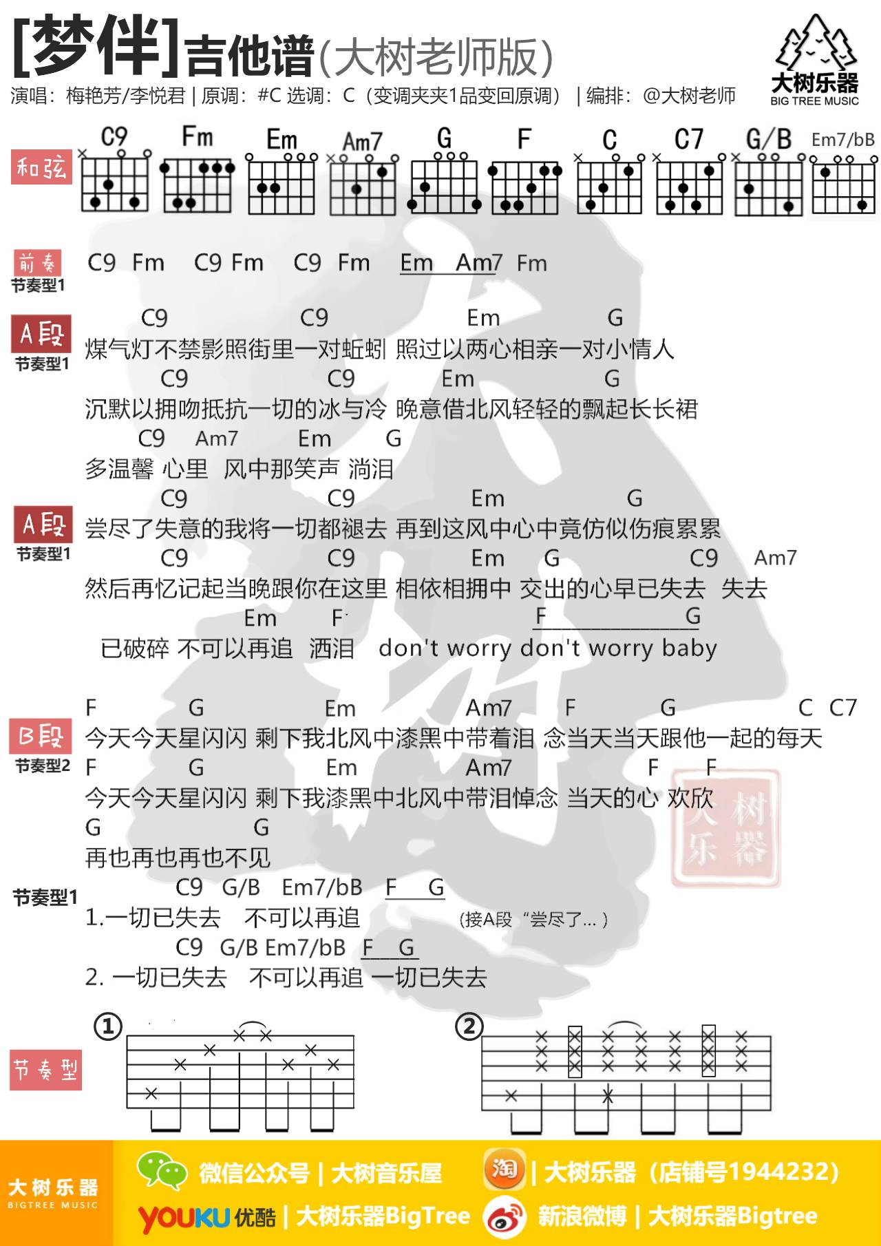李悦君 梦伴吉他谱C调 大树音乐屋弹唱六线谱