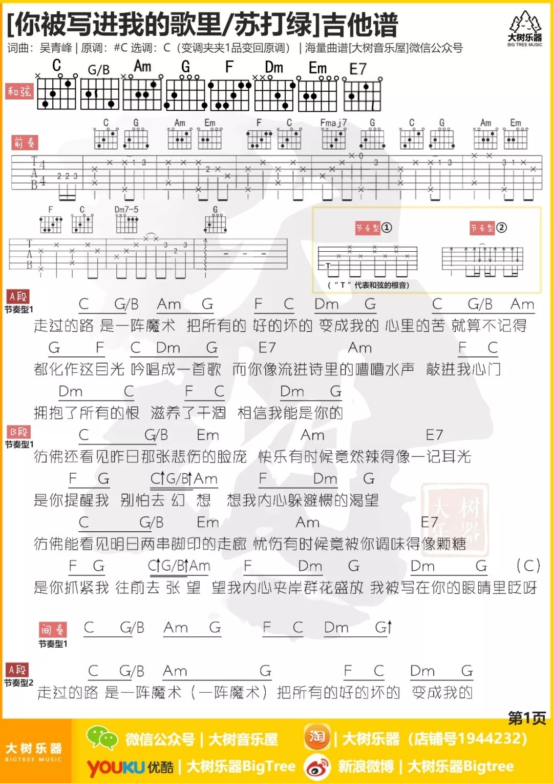 苏打绿 你被写进我的歌里吉他谱C调 大树音乐屋弹唱六线谱