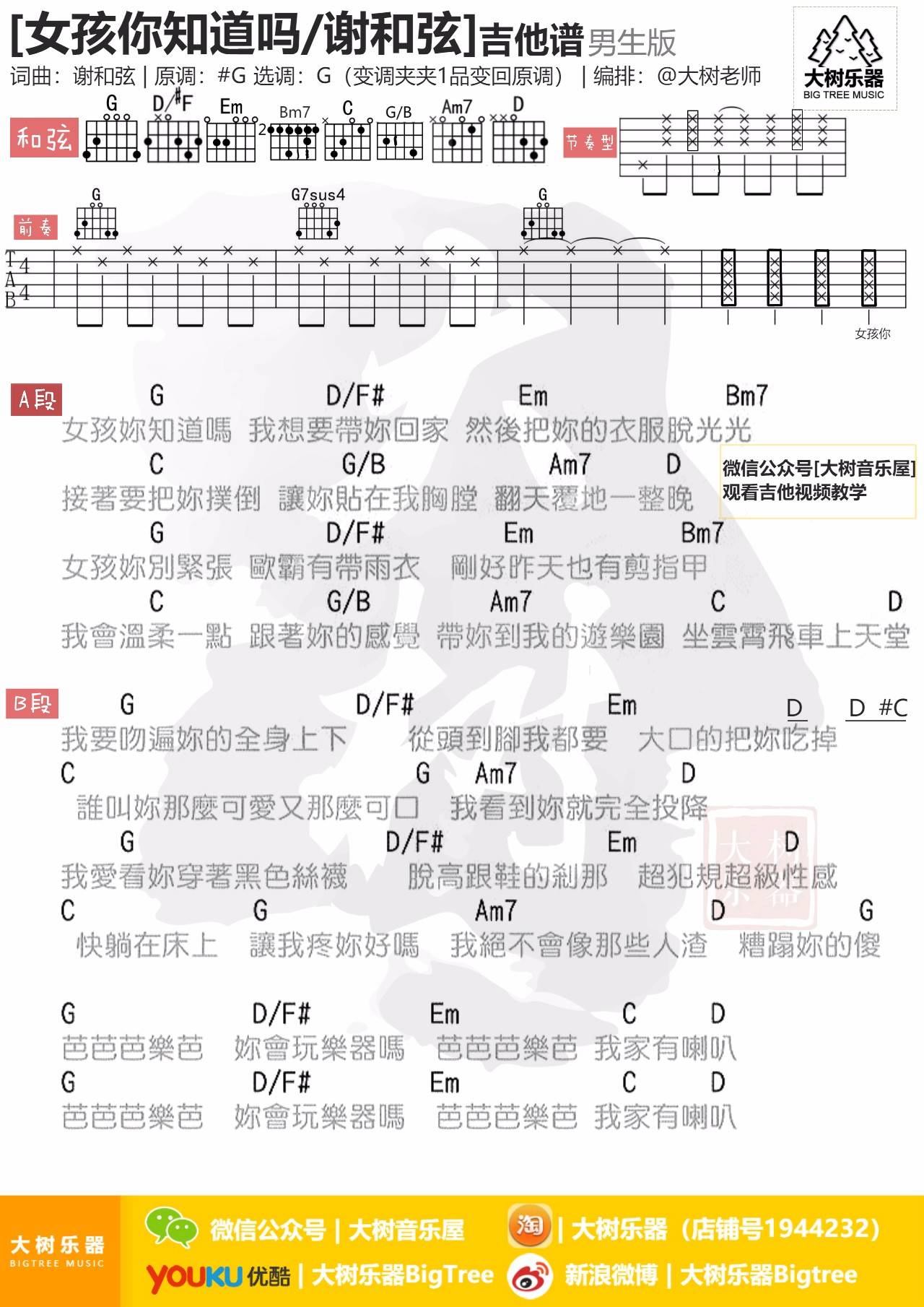谢和弦 女孩你知道吗吉他谱G调 大树音乐屋弹唱六线谱