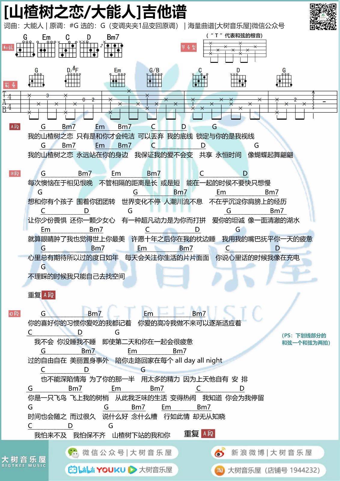 大能人 山楂树之恋吉他谱G调 大树音乐屋弹唱六线谱